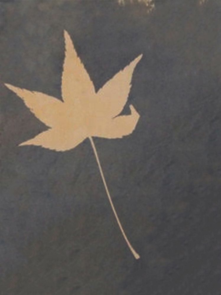 Lone Leaf